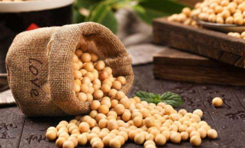 什么是豆粕期貨？豆粕期貨標的物介