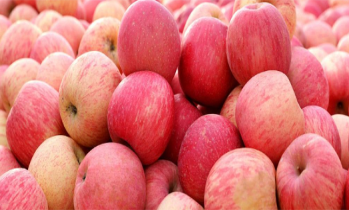 蘋(píng)果期貨是什么？怎樣交易蘋(píng)果期貨